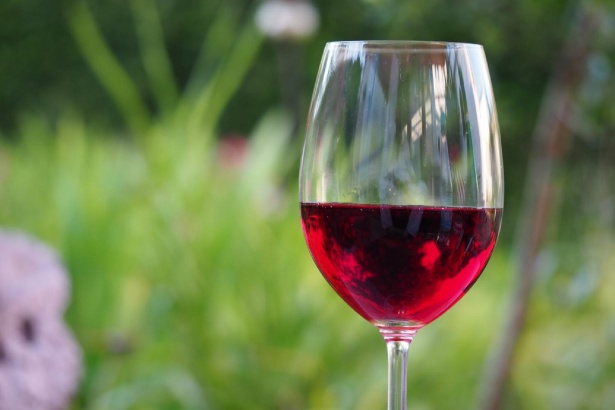 Aspettando Calici di Stelle: Villa Gianna celebra il vino consapevole tra giovani, famiglie e stelle Aspettando Calici di Stelle: Villa Gianna celebra il vino consapevole tra giovani, famiglie e stelle