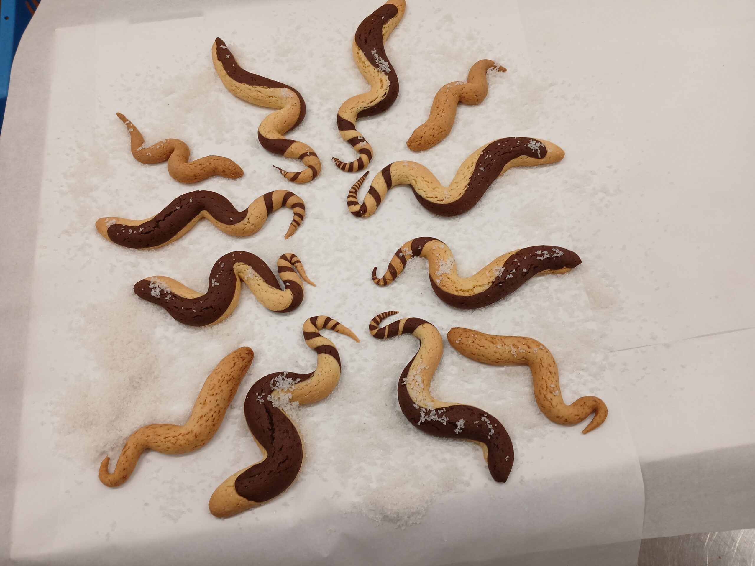 Biscotti Anguilla Regina