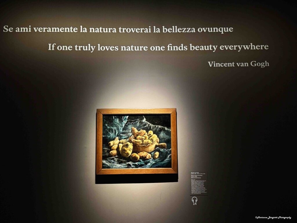 monet van gogh ferrara