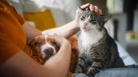 Giornata mondiale della salute mentale: cani e gatti alleati del benessere