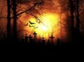 Halloween fuori dagli schemi, parte 2: 10 horror da riscoprire per una notte da brividi