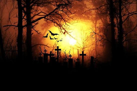 horror Halloween fuori dagli schemi, parte 2: 10 horror da riscoprire per una notte da brividi